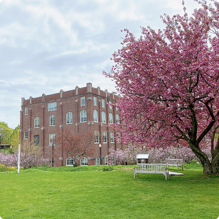 Triết lý của Hung Global